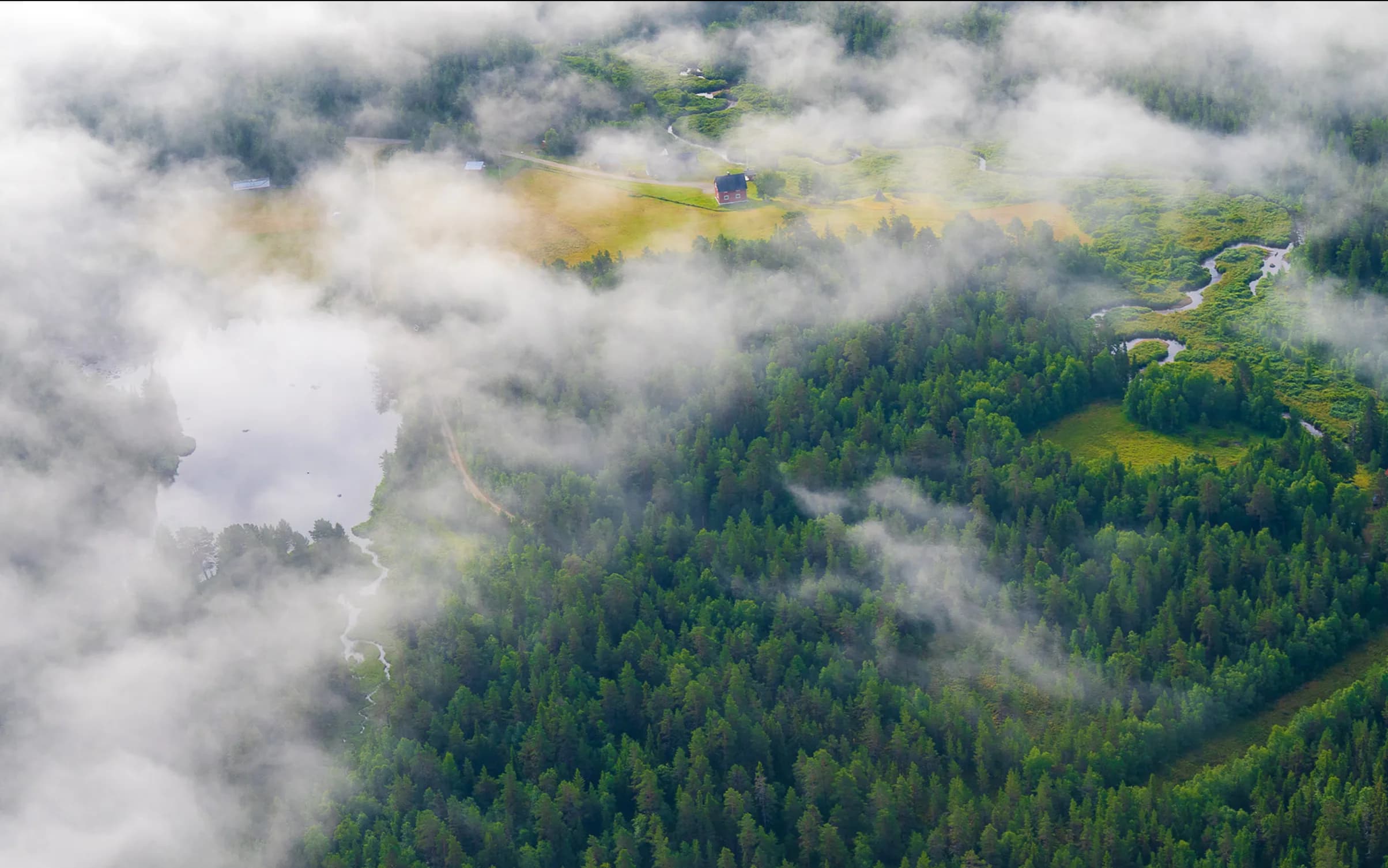 Skog och moln från ovan