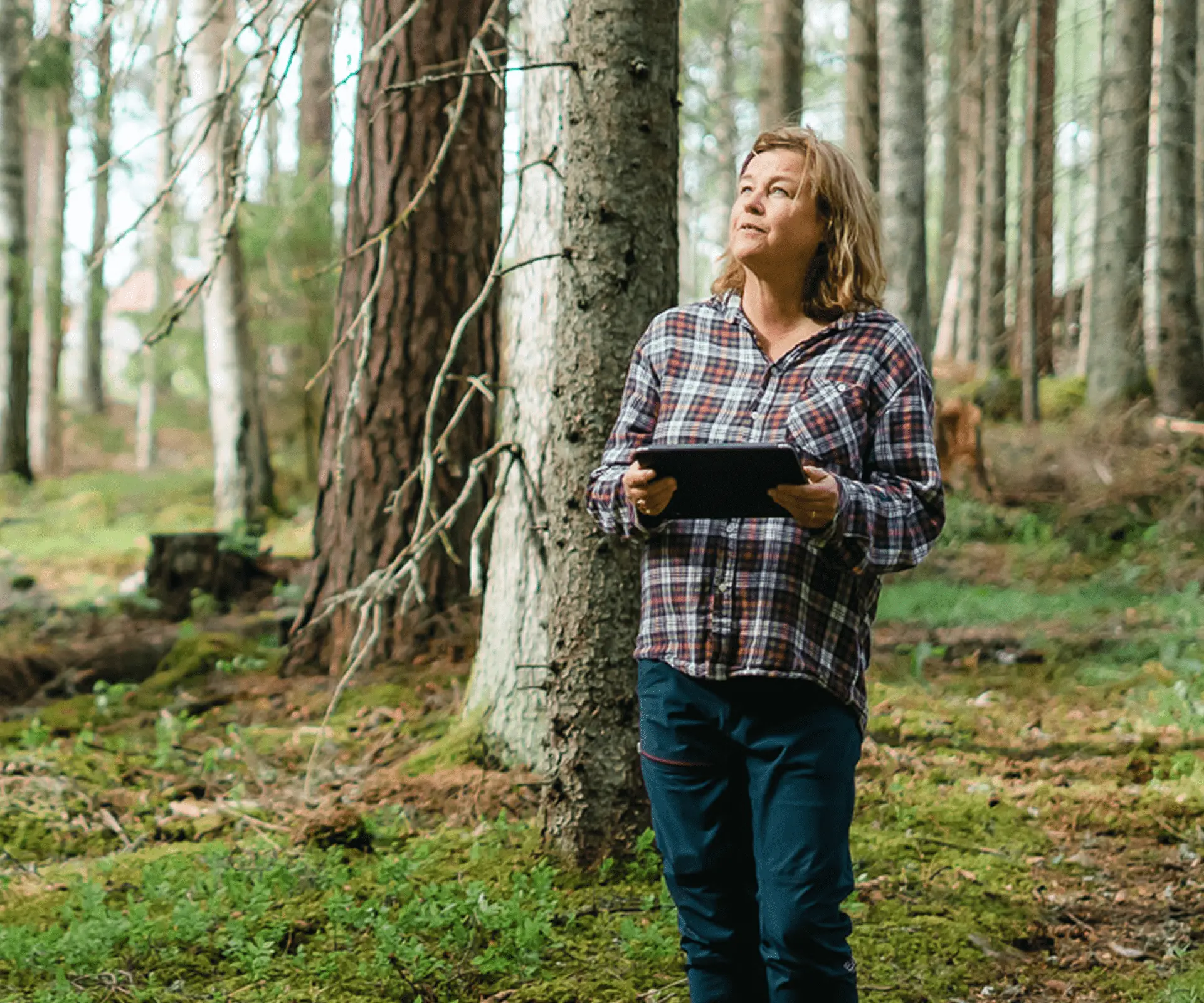 En person står i skogen med en iPad i händerna och tittar upp mot träden.