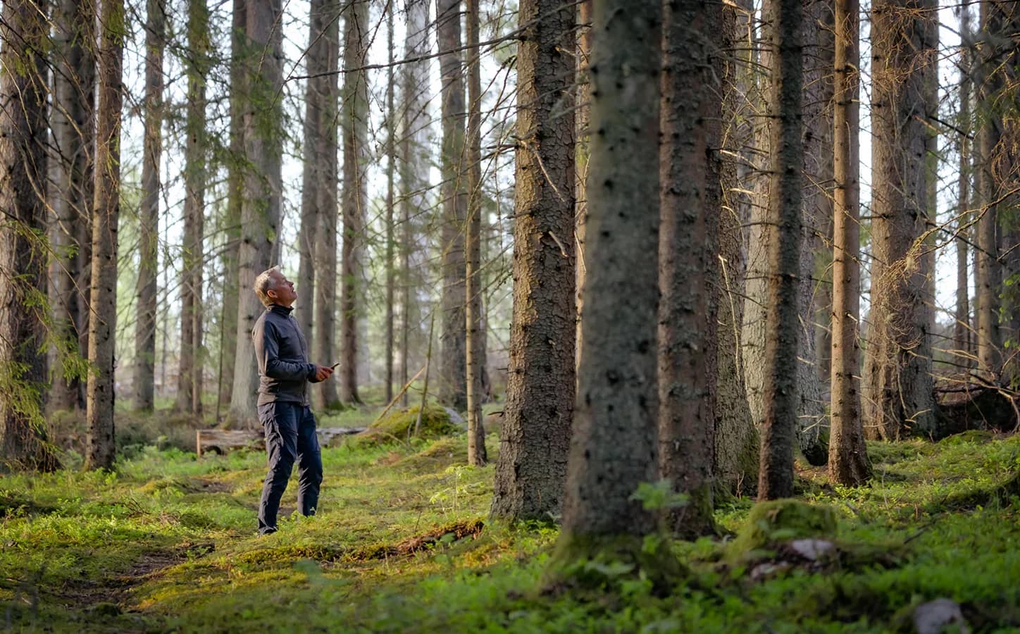 En man står i en skog med sin mobil och kollar upp mot träden.