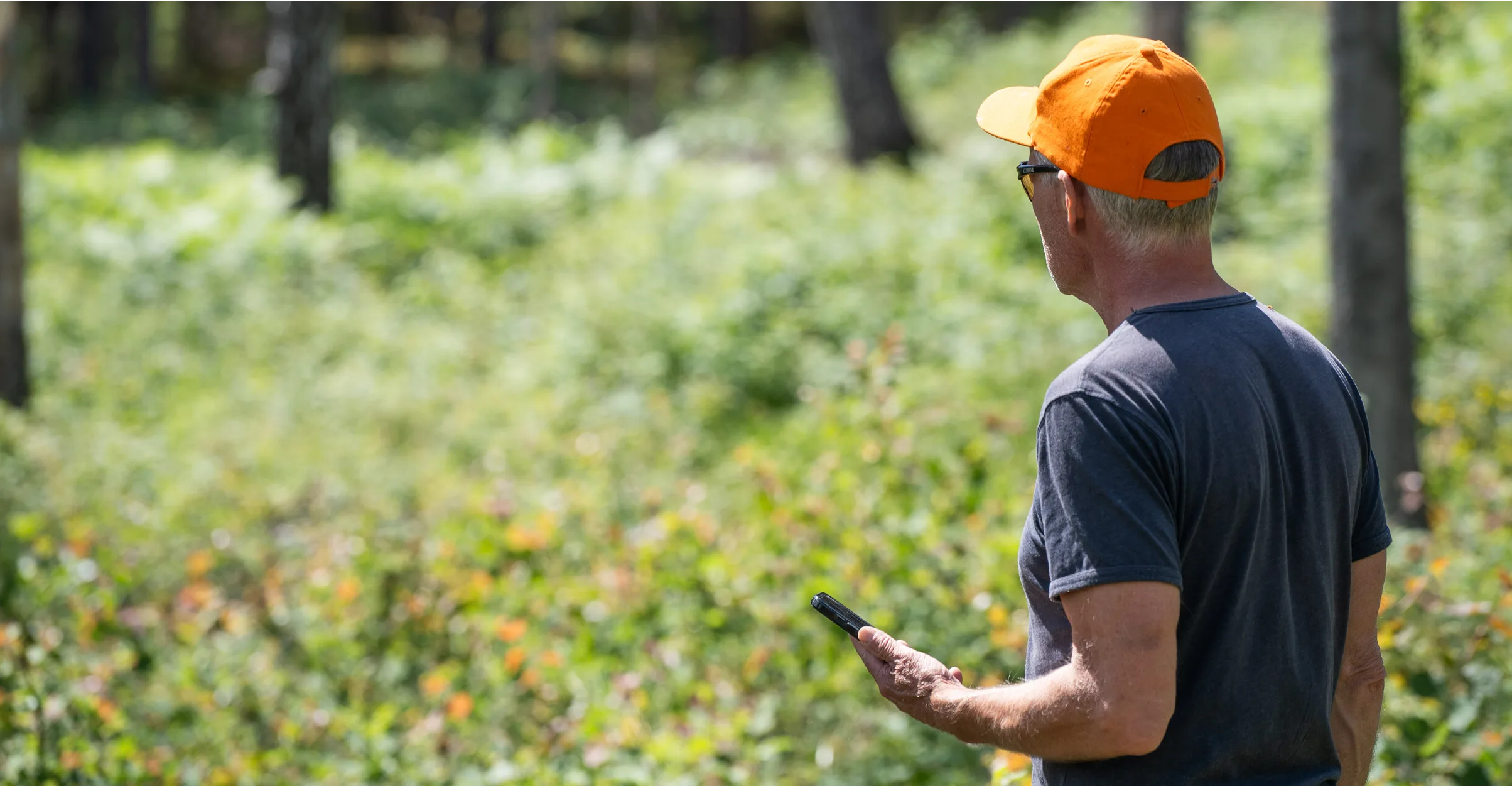 En man med orange keps och mobil i handen ser ut över en skog.