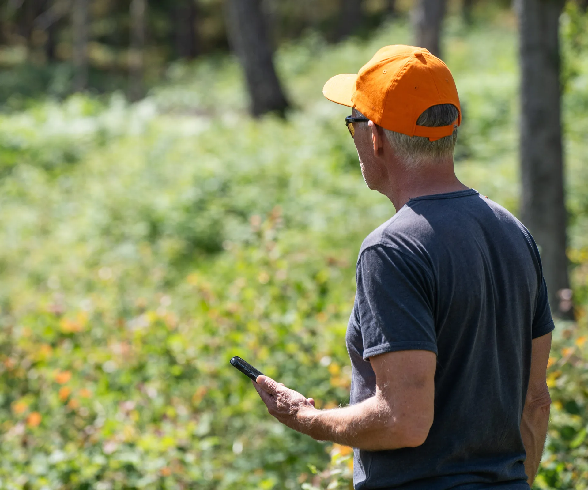 En man med orange keps och mobil i handen ser ut över en skog.